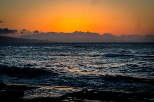 Green Sea Turtles on Hookipa Beach Sunset   Maui Hawaii 08563
